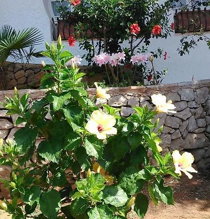 Sosta A Levante Bed & Breakfast *